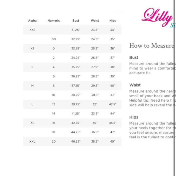 NWT Lilly Pulitzer Jennifer Shift Dress in Resort White Grid Eyelet - Picture 6 of 12